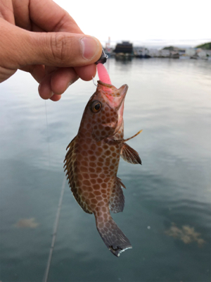 なんとか釣れたぁ〜