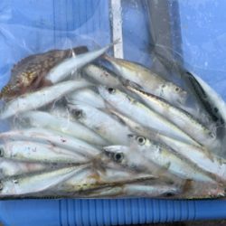 梅雨空のサバゲーム