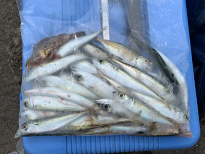 梅雨空のサバゲーム