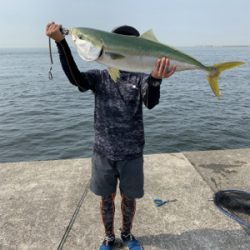 メーターサワラ、ブリ