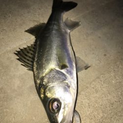 バラしまくり(>_<)