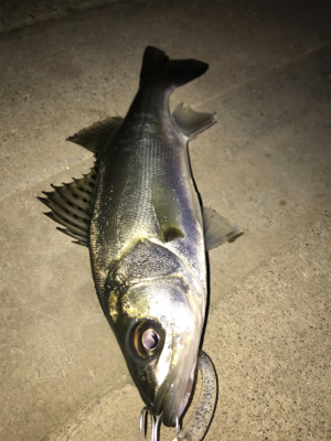 バラしまくり(>_<)