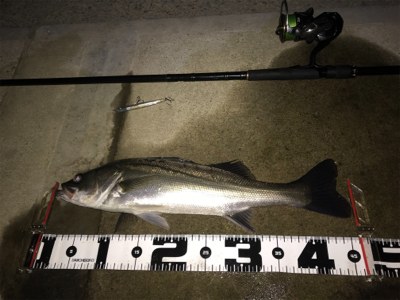 ランカーきたぁー(=゚ω゚)ノ