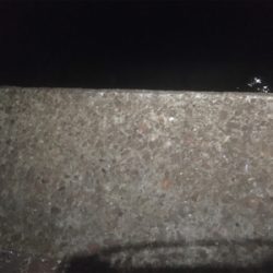 続 バチ抜け不発