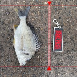 目印スライダー