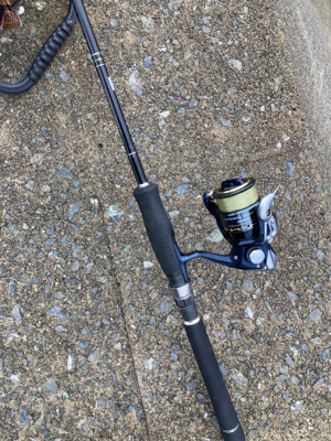 デイライトゲームで、ヤマトカマス釣果