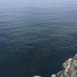 大きなアオリが釣りたい…