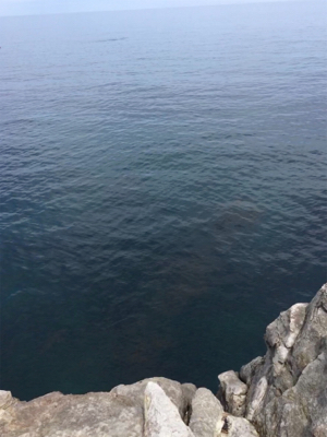 大きなアオリが釣りたい…