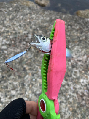 メタルアジング