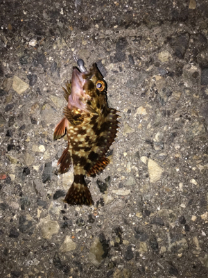 レンジ下げ気味