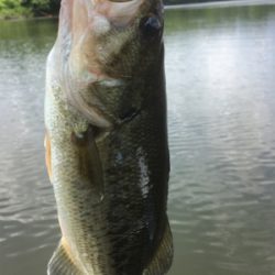 そろそろ厳しい季節