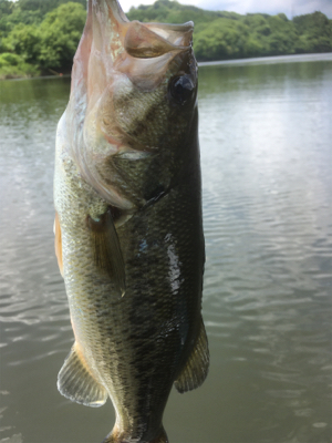 そろそろ厳しい季節