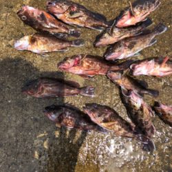 久々の一文字で〜す❗️