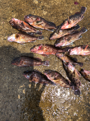 久々の一文字で〜す❗…