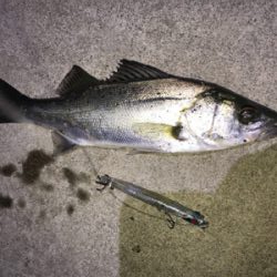 PLEX85ありがとう！