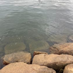 夕方のぶっ込み釣り