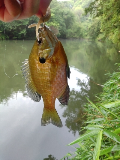 雨後のクランキング