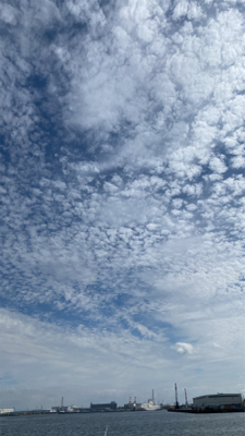 アジ釣り、キス釣り