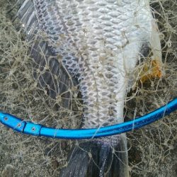 『釣りデビュー❤』180日目⭐