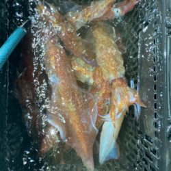 イカメタルで大剣