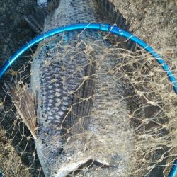 『釣りデビュー❤』181日目✨