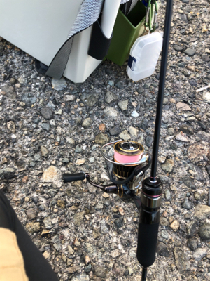 久々アジング、嬉しいゲスト