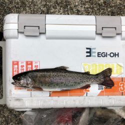 菅釣りも楽しいよ~!