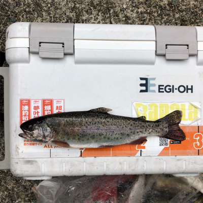 菅釣りも楽しいよ~!