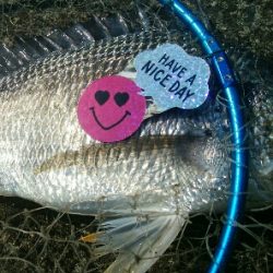 『釣りデビュー❤』184日目✨