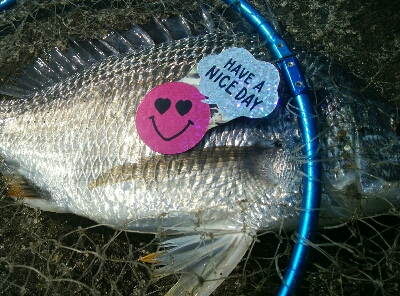 『釣りデビュー❤』184日目✨