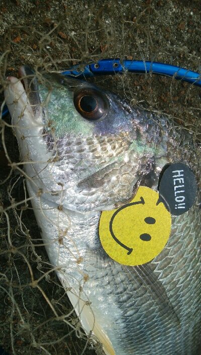 『釣りデビュー❤』185日目✨