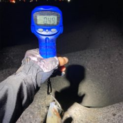 秋イカサイズだけど嬉しい1杯(^。^)