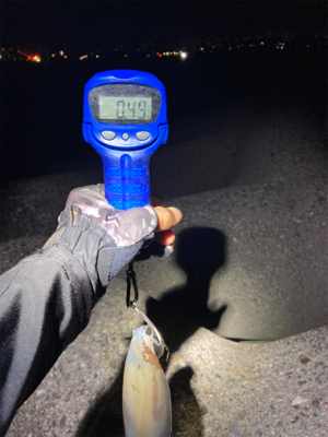 秋イカサイズだけど嬉しい1杯(^。^)