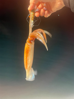 福井　啓福丸さんにてイカメタル