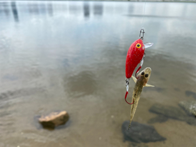 ハゼはいるけど何か渋い