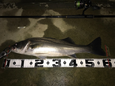 水面直下のハイドロアッパー！