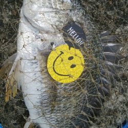 『釣りデビュー♡』188日目！！