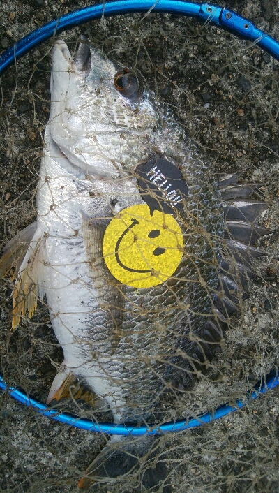 『釣りデビュー♡』188日目！！