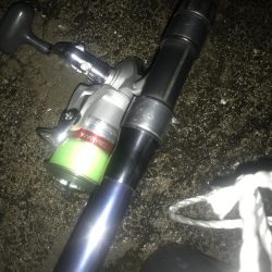 夜サビキで良型アジGET