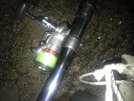 夜サビキで良型アジGET