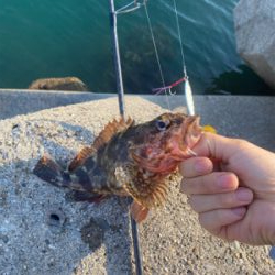 ガシリングレッド!!