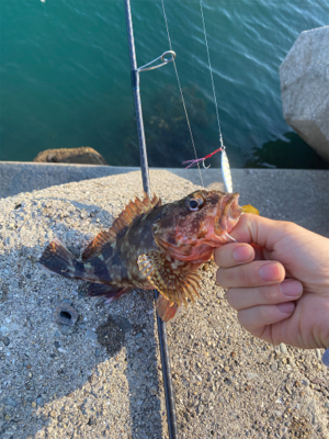 ガシリングレッド!!