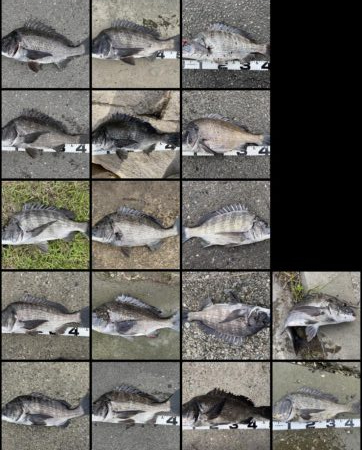 イチノ兄弟、釣果！