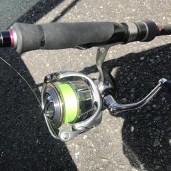 朝マズメの短時間アジング