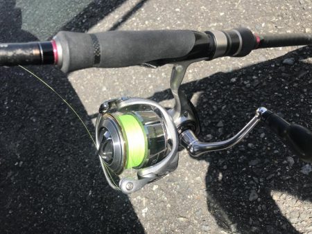 朝マズメの短時間アジング