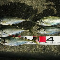 ボーナス確定‼️