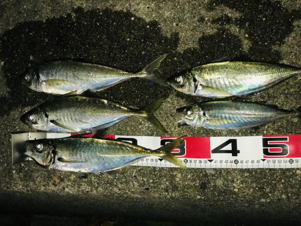 ボーナス確定‼️…