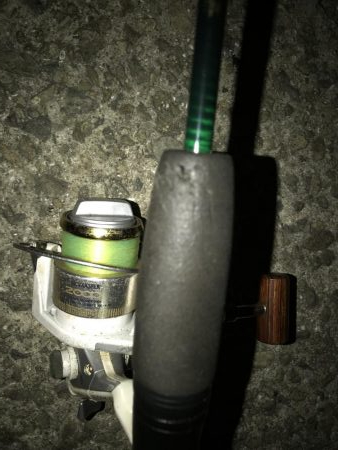 今日もガシラだけ。