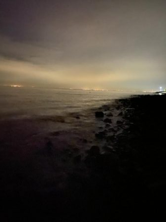 サバときどきアジ