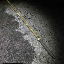 のべ竿で良型アジ大漁GET